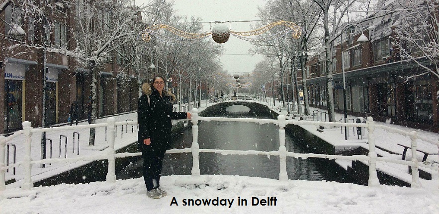 Delft - snowday.jpg