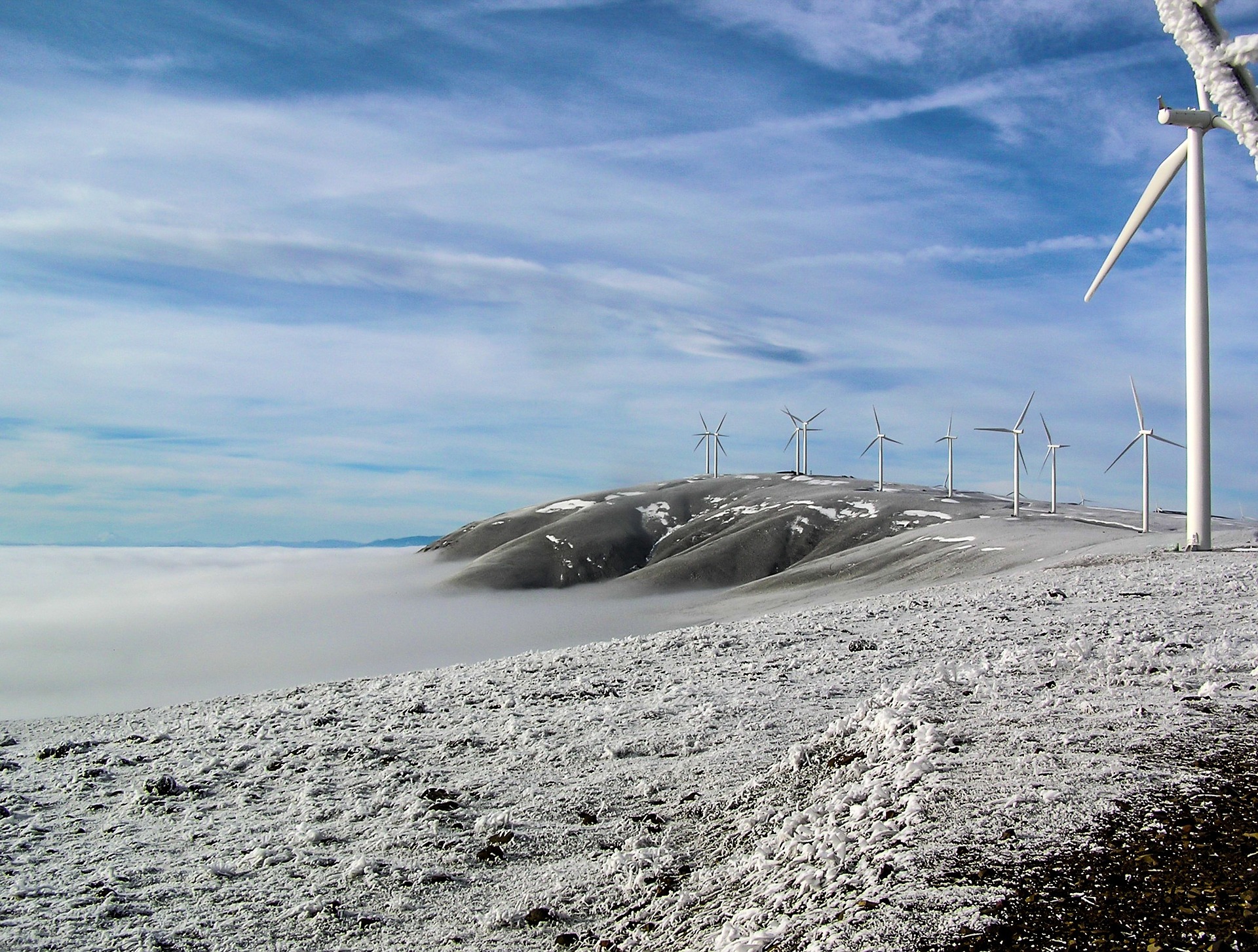 wind-farm.jpg